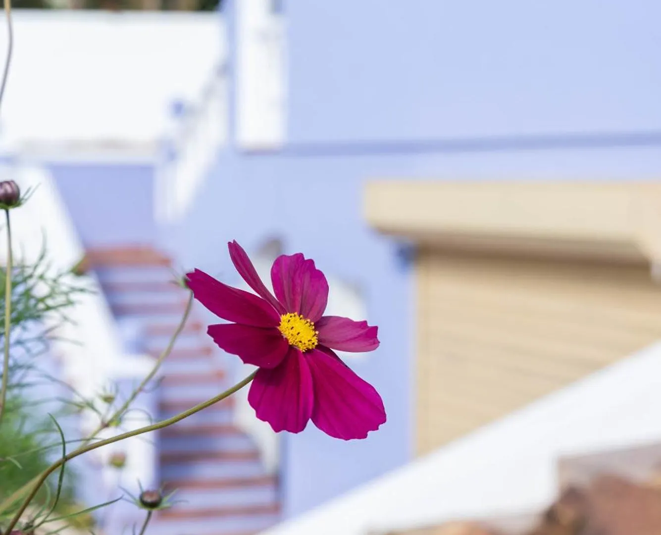 Villa Casa Margarita La Línea de la Concepción Сasa de vacaciones
